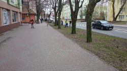 sprzątanie miasta: chodniki i zieleńce